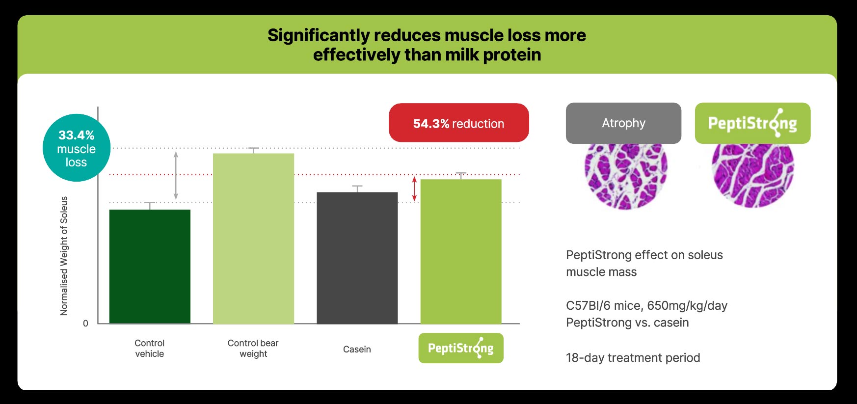 Muscle Loss