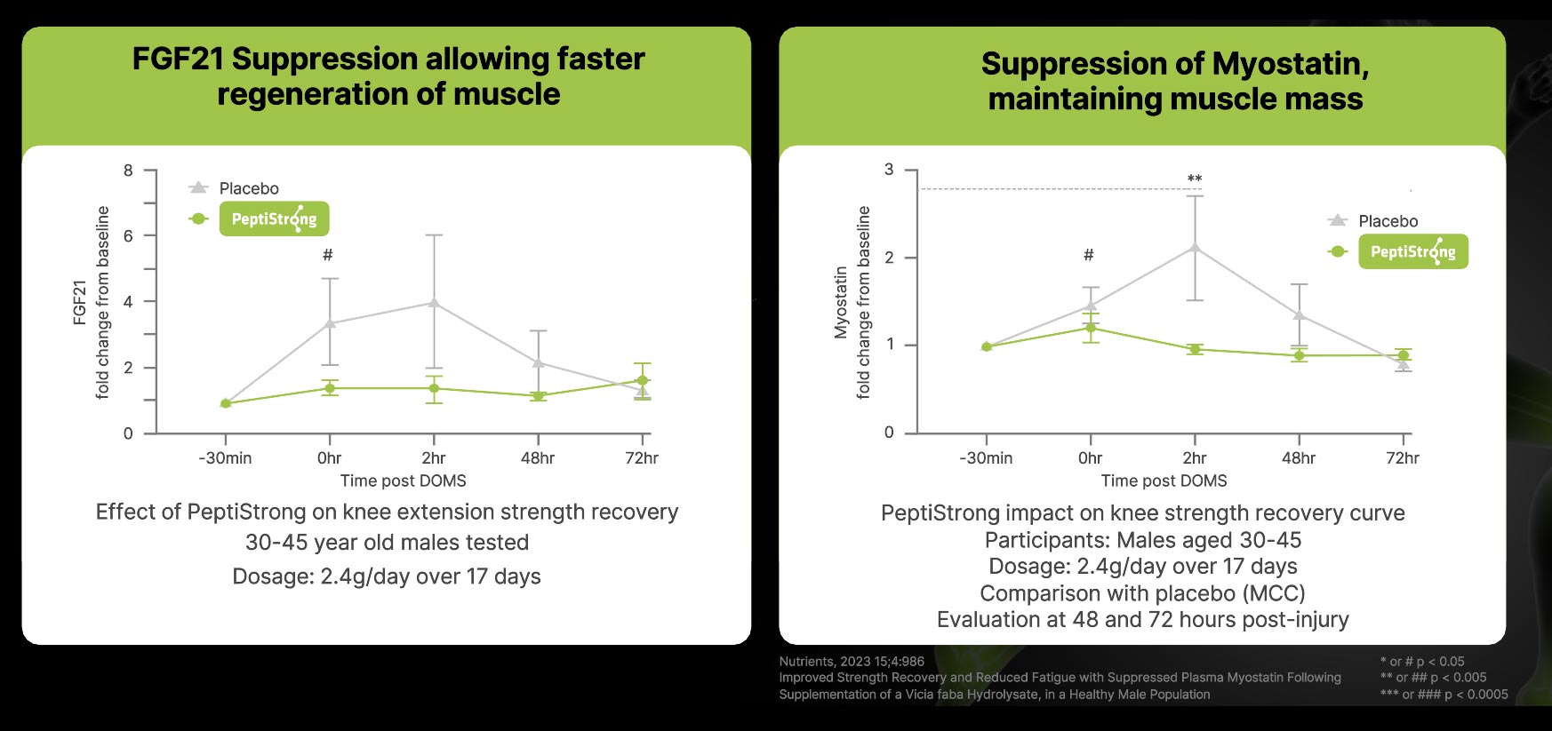 Muscle regeneration