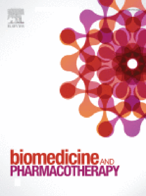 Measuring the oral bioavailability of protein hydrolysates derived from food sources: A critical review of current bioassays